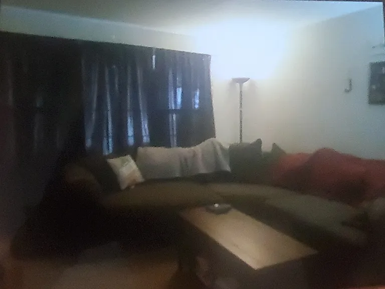 1175 N Village Dr #1 — Photo 5