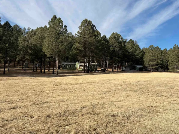 18 Board Tree Canyon Rd #10, Cloudcroft, NM 88317