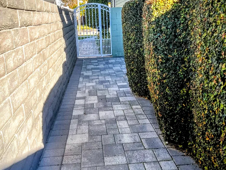 Secure walkway from street to studio with privacy hedges between front and back house