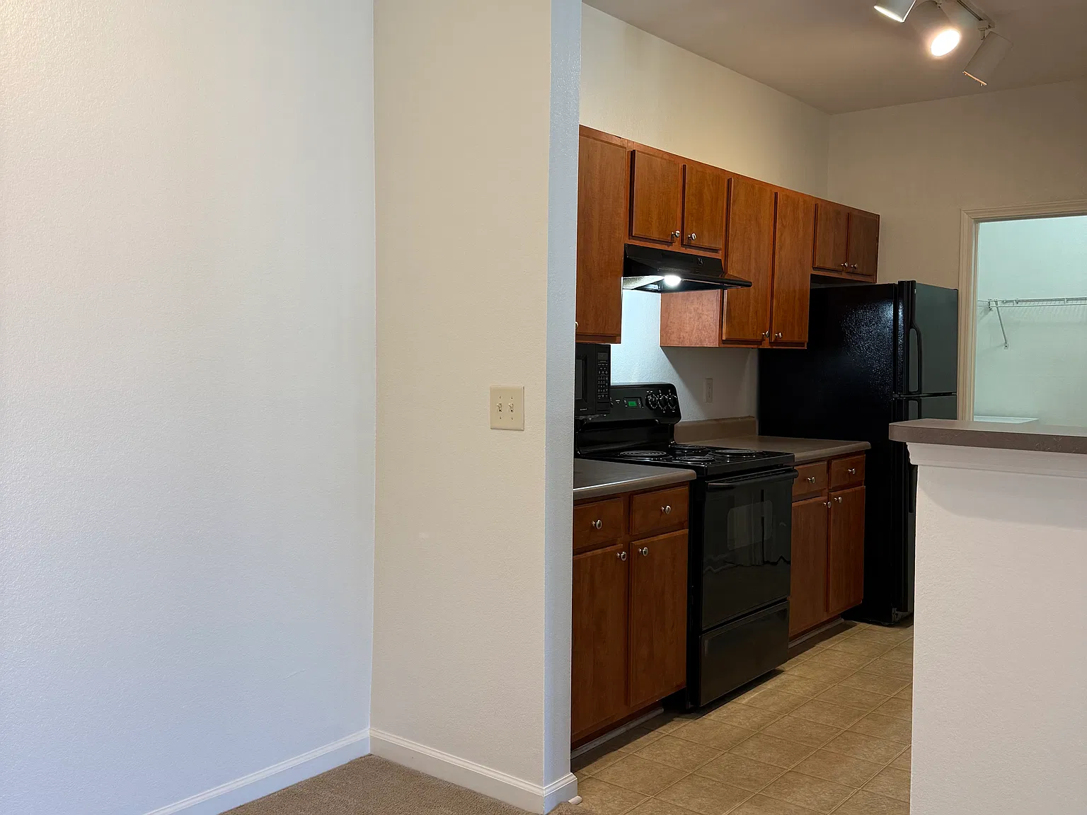 1 bed, 787 sqft, $1,300 — Photo 3