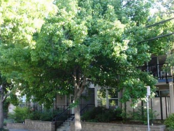 Condo in the Spring (top)