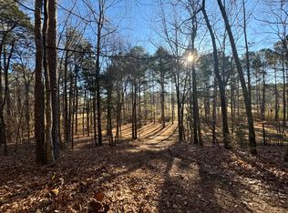 0 Spunky Hollow Rd, Remlap, AL 35133