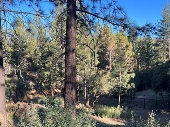 545 Division Dr, Big Bear City, CA 92314