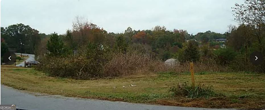 2nd image of 0 Dixie Red Ave