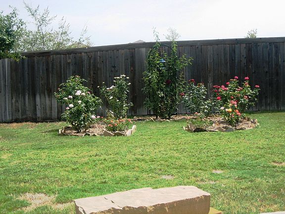 Rose Garden