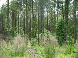 Beaver Dam Rd, Waterford, MS 38685