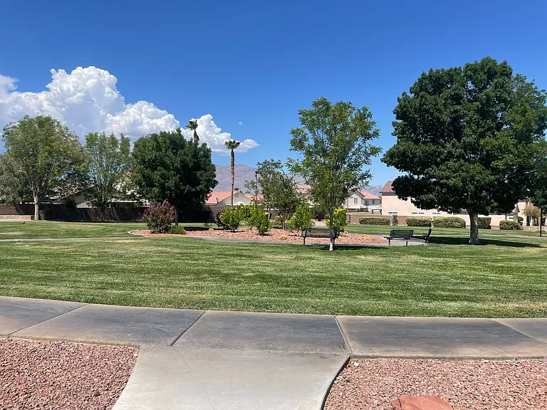 8720 Majestic Pine Ave — Photo 13