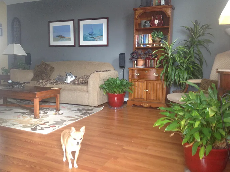 4914 Camborne Cir — Photo 2