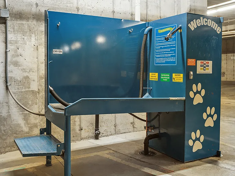 Dog Wash Station