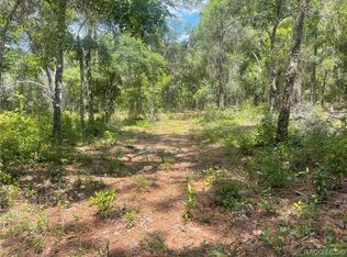10719 E Tree Ln, Inverness, FL 34450