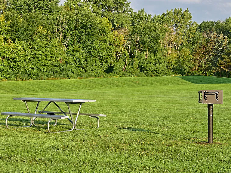Picnic and Grilling Area