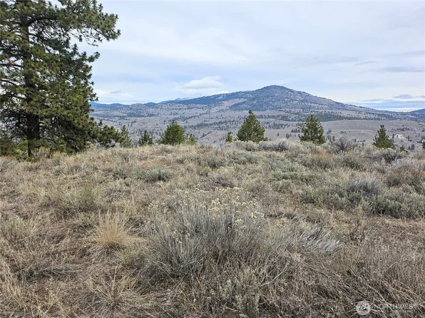 1 TBD Badger Road, Tonasket, WA 98855