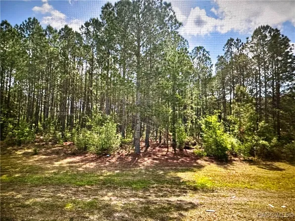 143 S Kensington Ave, Lecanto, FL 34461