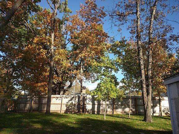 Beautiful fall colors