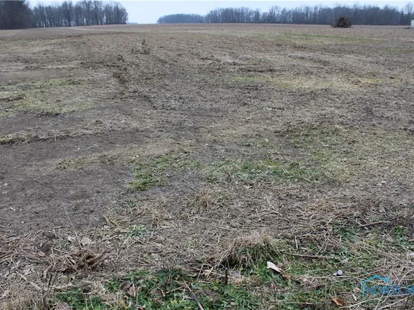 0 S Davis St, Forest, OH 45843