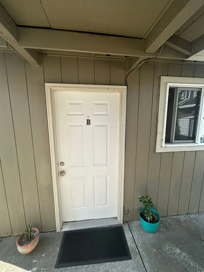 3221370 — Photo 3