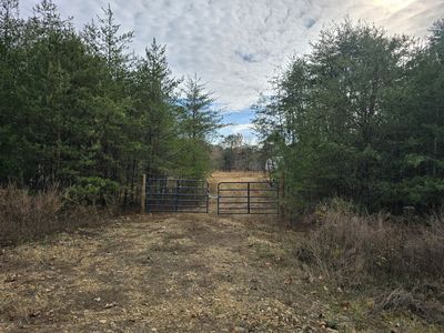 445 Highwater Rd, Waverly, TN, 37185