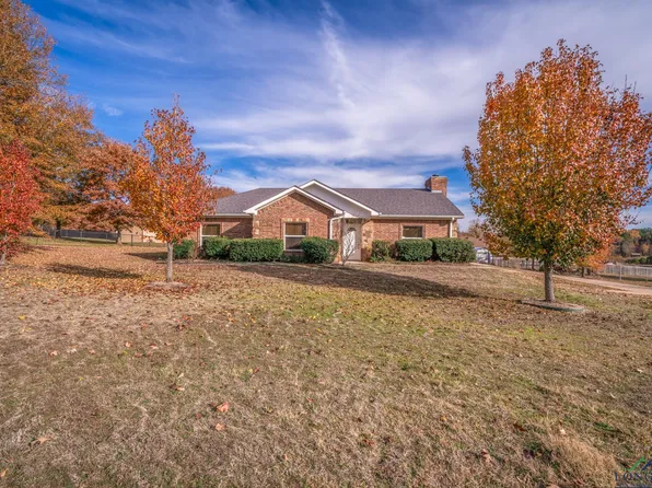 187 Emma, Diana, TX 75640