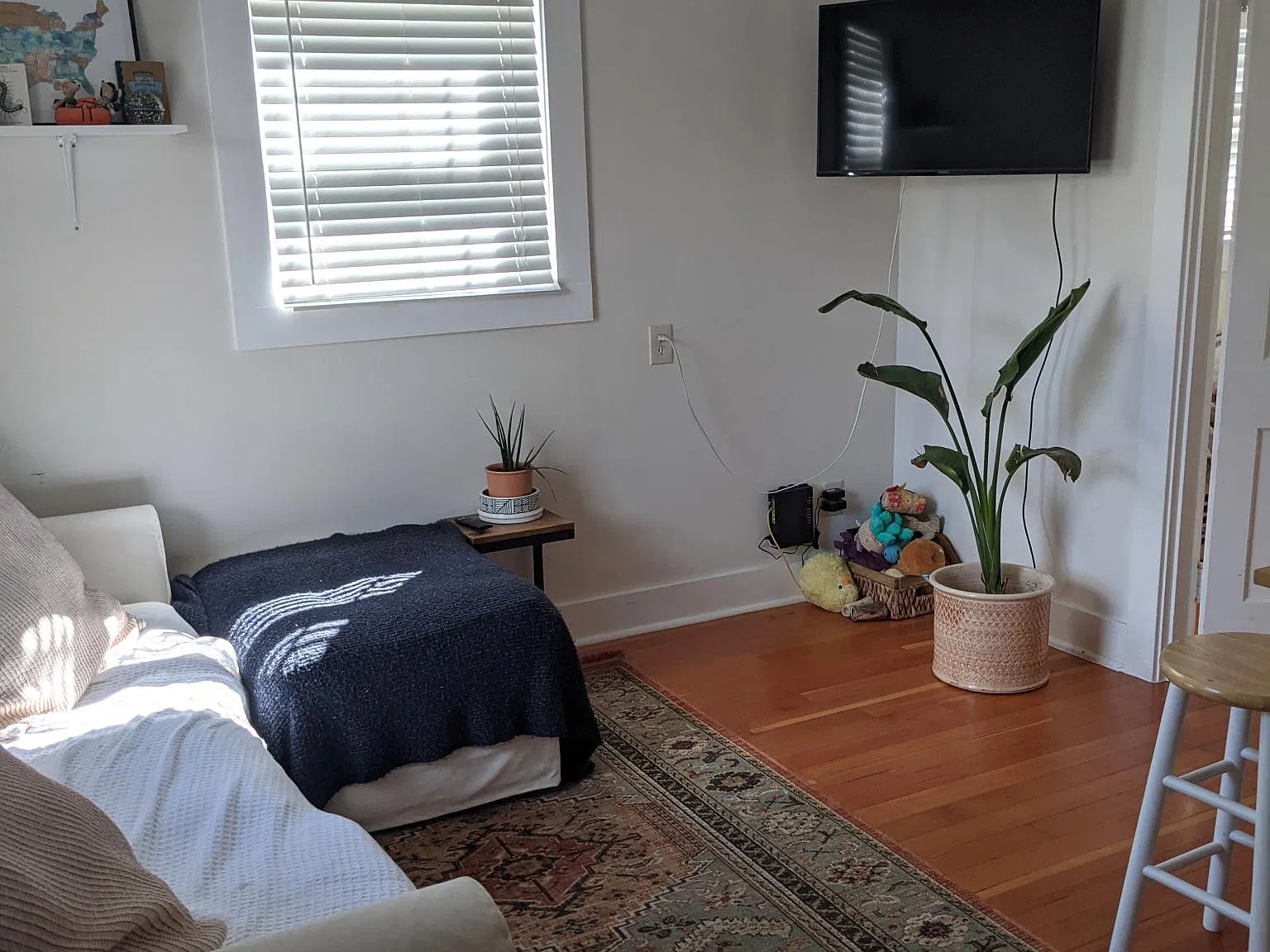 1 bed, 420 sqft, $1,695 — Photo 3