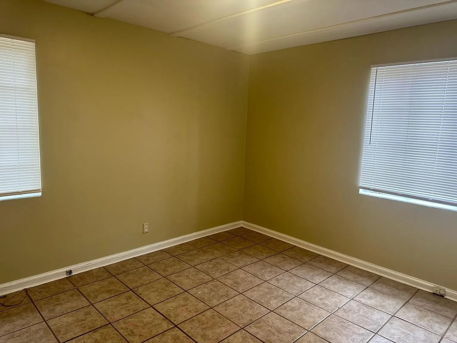 513 Lucille Street — Photo 3