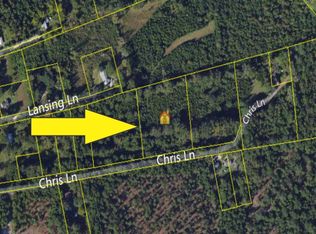 0 Chris Ln, Walterboro, SC 29488