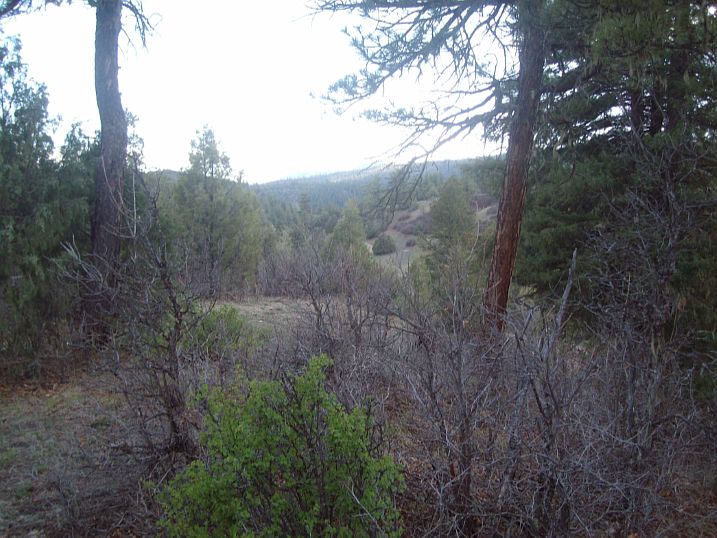 2nd image of Piper Pl And Suttles Rd Lot # 56