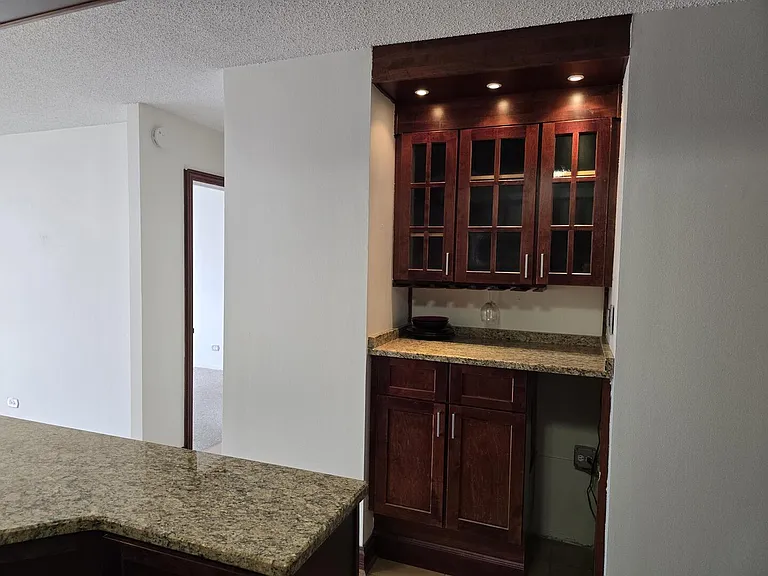 10 E Ontario St #2104 — Photo 10