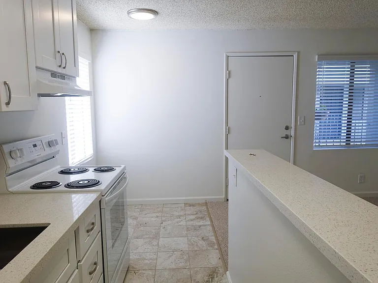 Dining Area / Kitchen