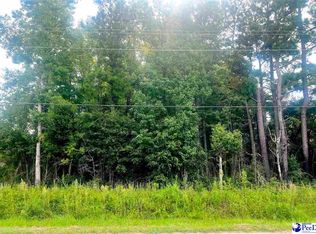 Eastland Ave, Kingstree, SC 29556