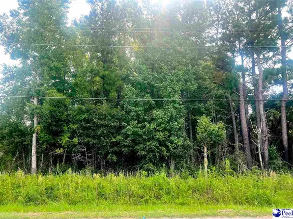 Eastland Ave, Kingstree, SC 29556