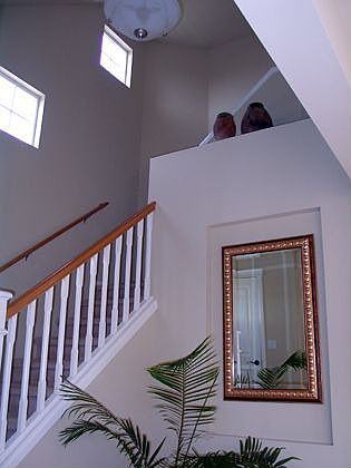 Stair