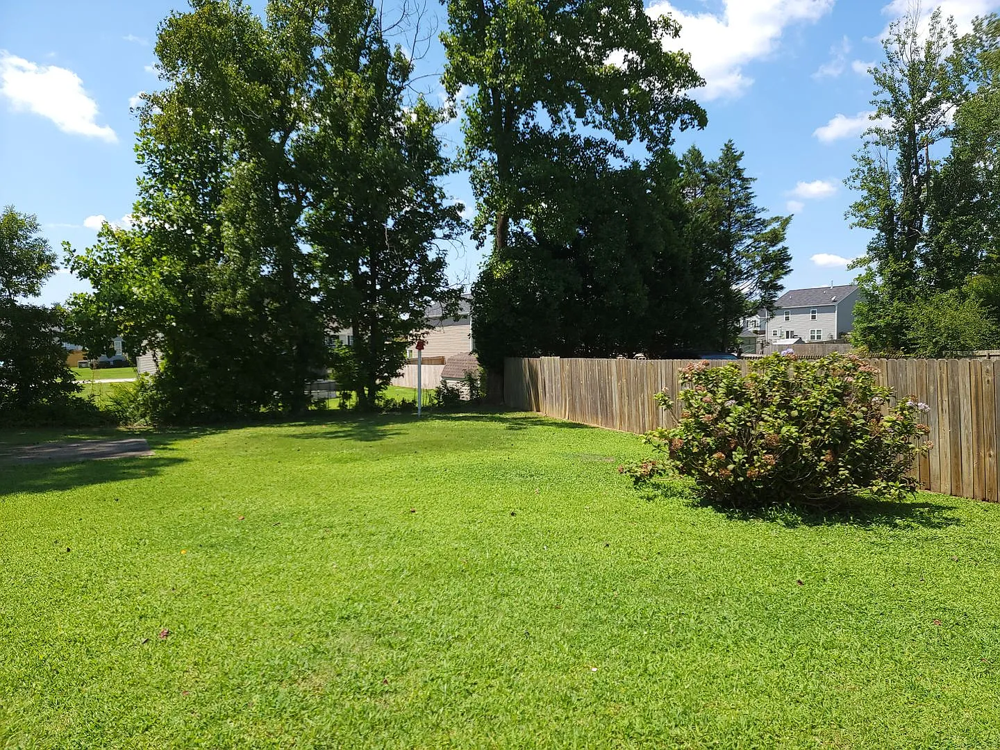 720 Daffodil Way — Photo 3