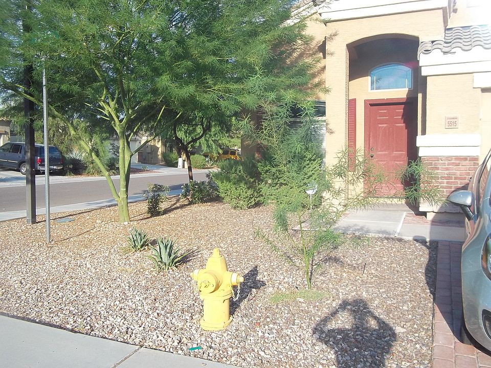 Landscaped front yard