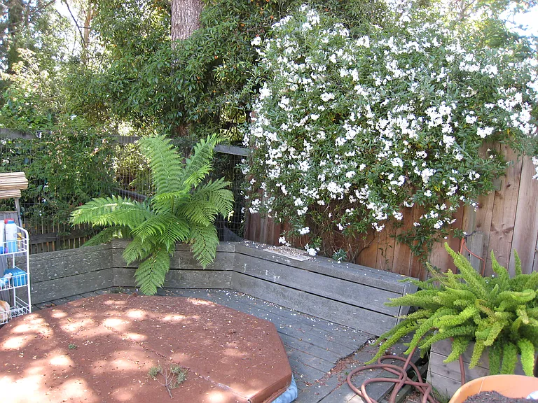 920 Ensenada Ave — Photo 5
