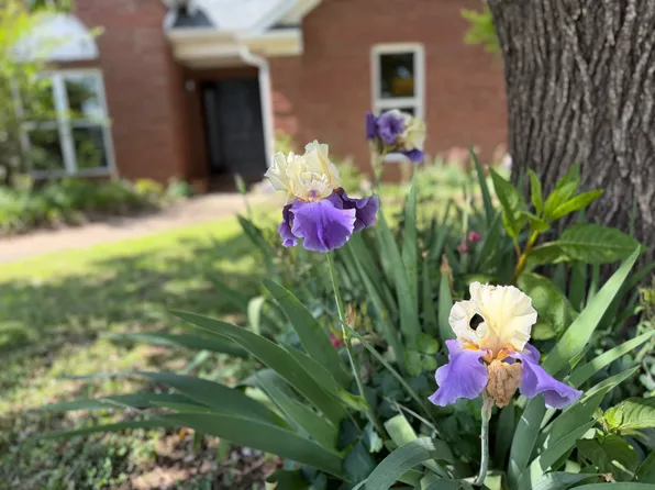 36 Brushfield Ln, Jackson, TN 38305