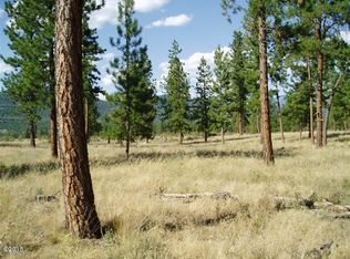 2 Snowy Ln, Plains, MT 59859