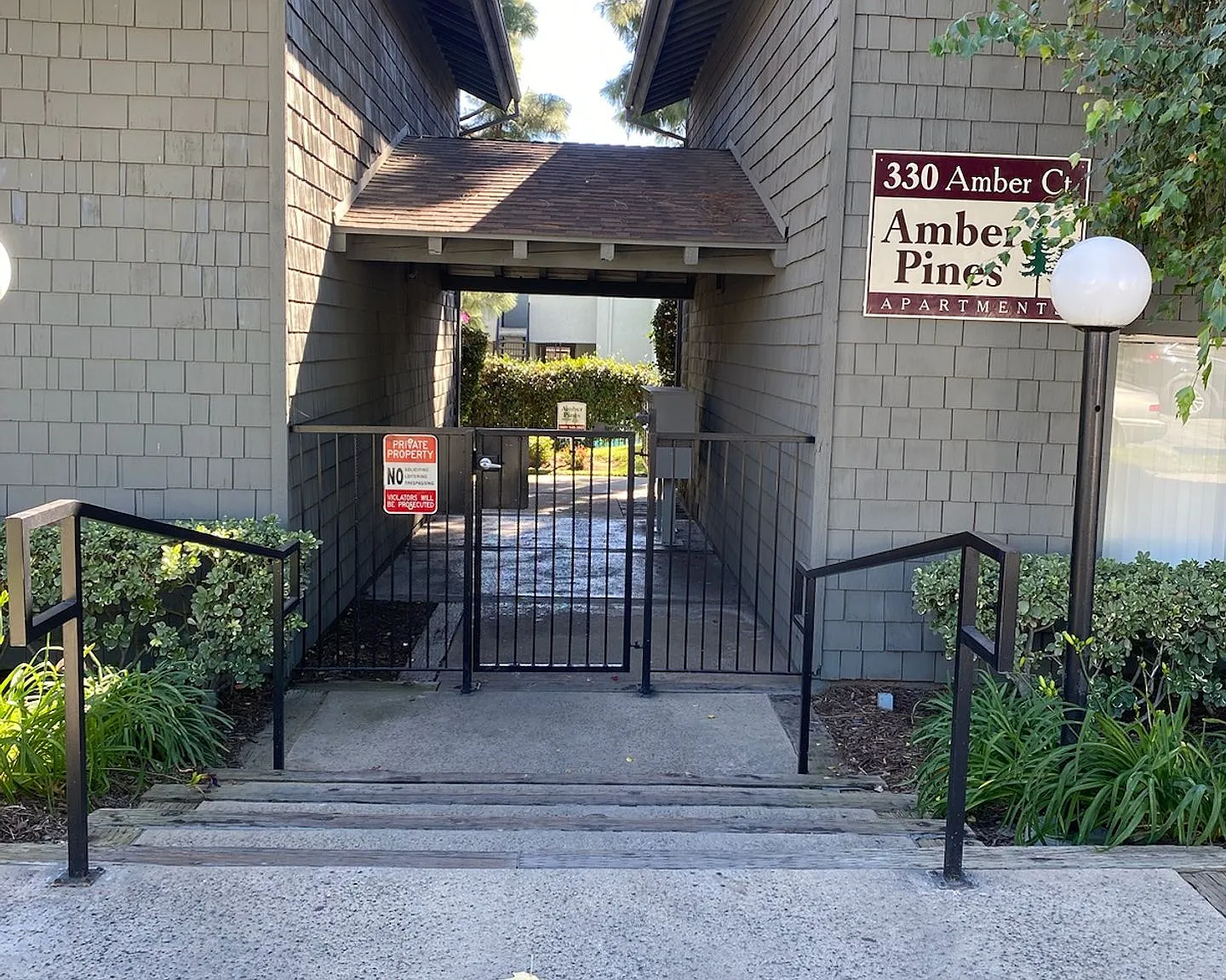 142 - Amber Pines — Photo 1