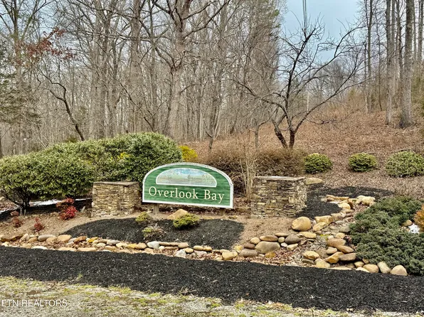 Harness Ln, Speedwell, TN 37870