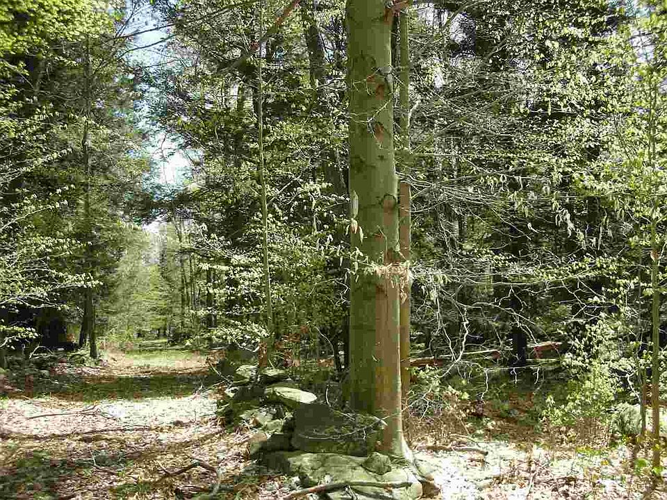 2nd image of 1 Fraser Rd