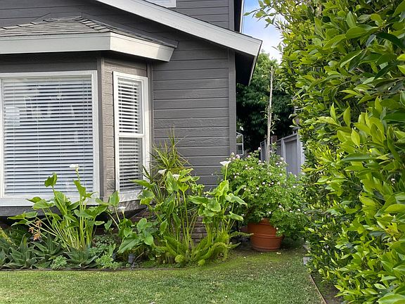 Side yard view