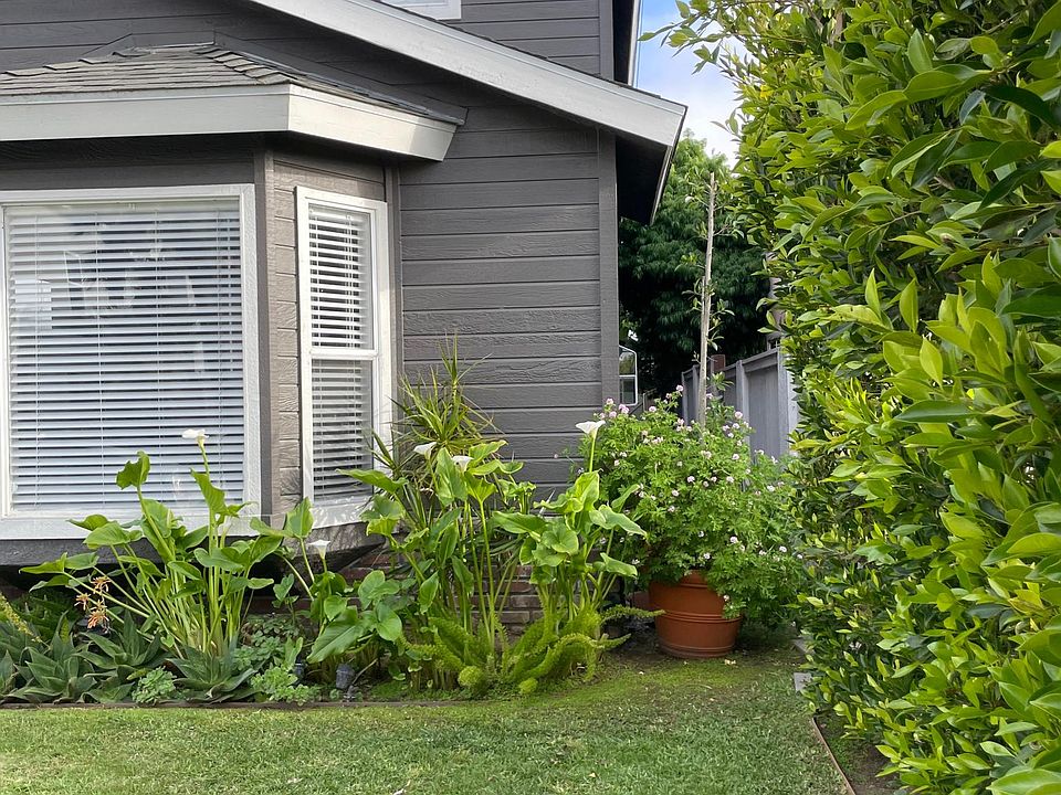 Side yard view