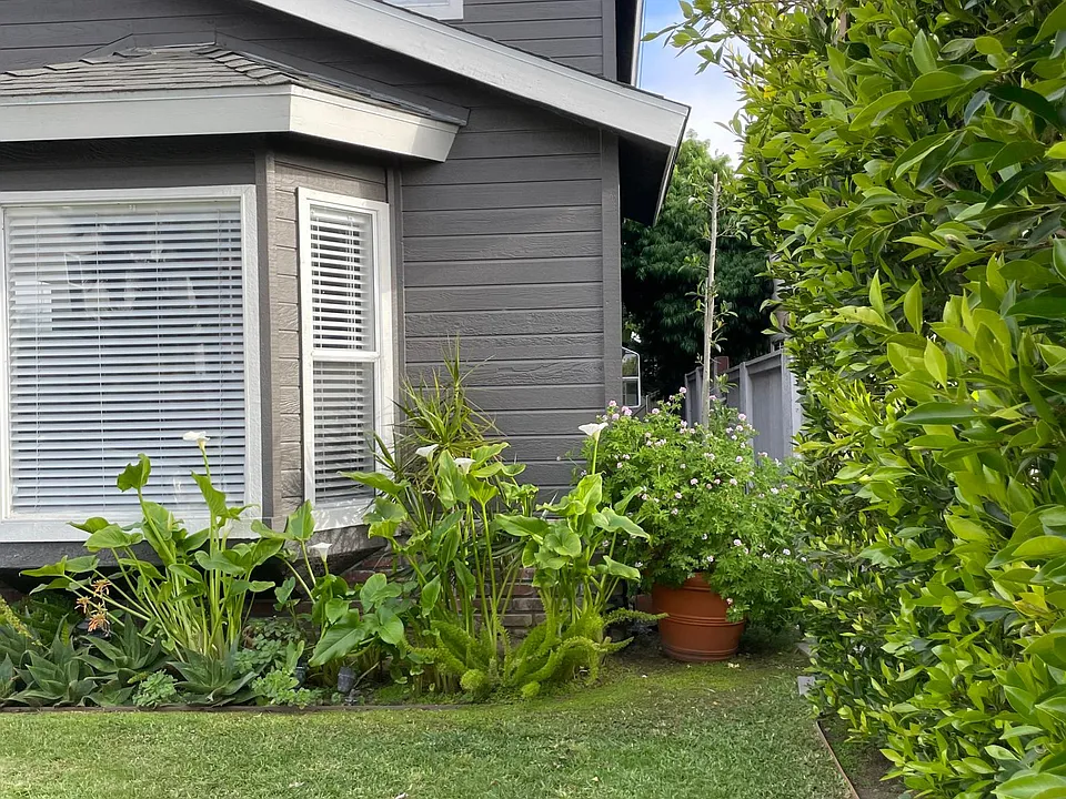 Side yard view