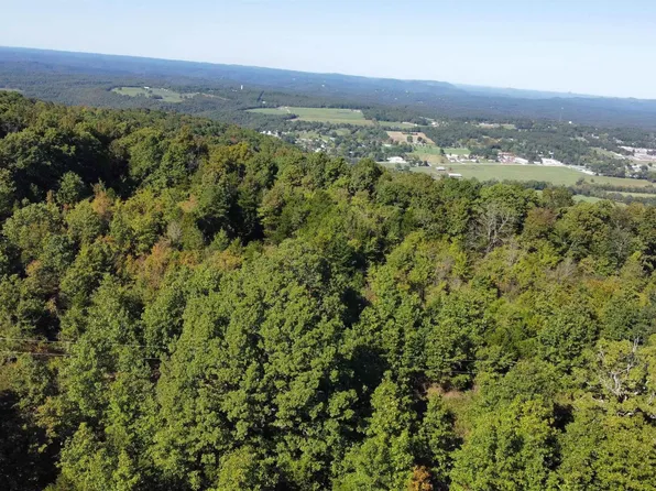 0 Hub Willis Rd, Mountain View, AR 72560