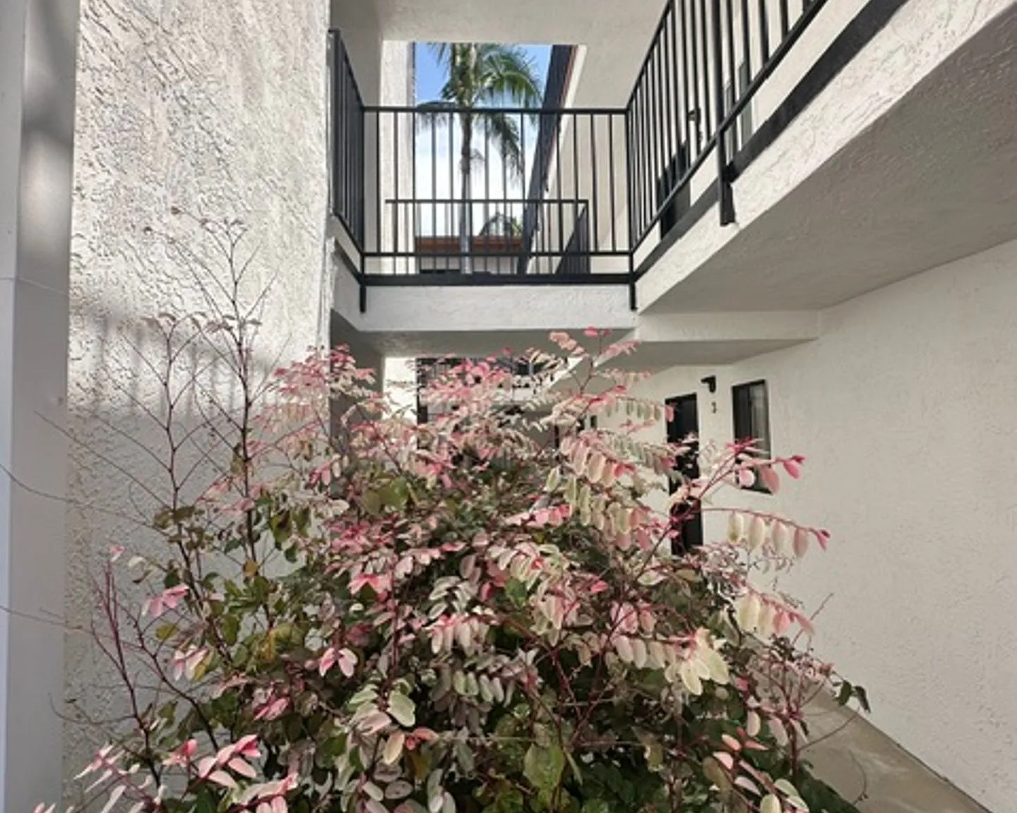 Hillcrest Palms Apartments — Photo 1