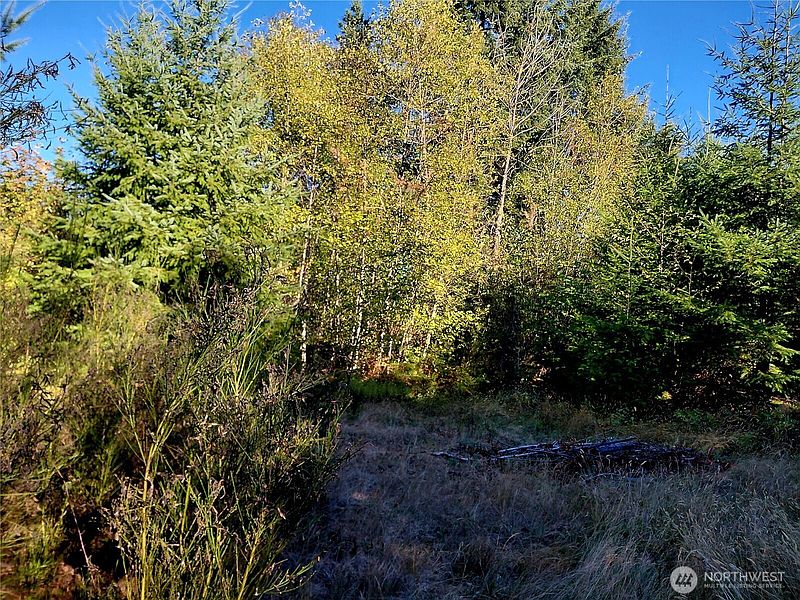 4th image of 0 Lot 7 Buck Drive