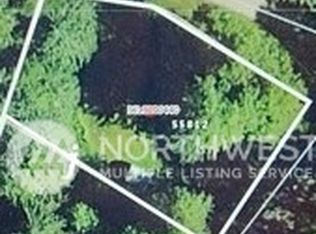 55812 317th Ave E, Ashford, WA