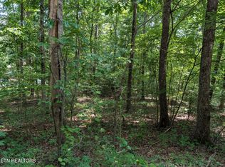 White St #31, Rockwood, TN 37854
