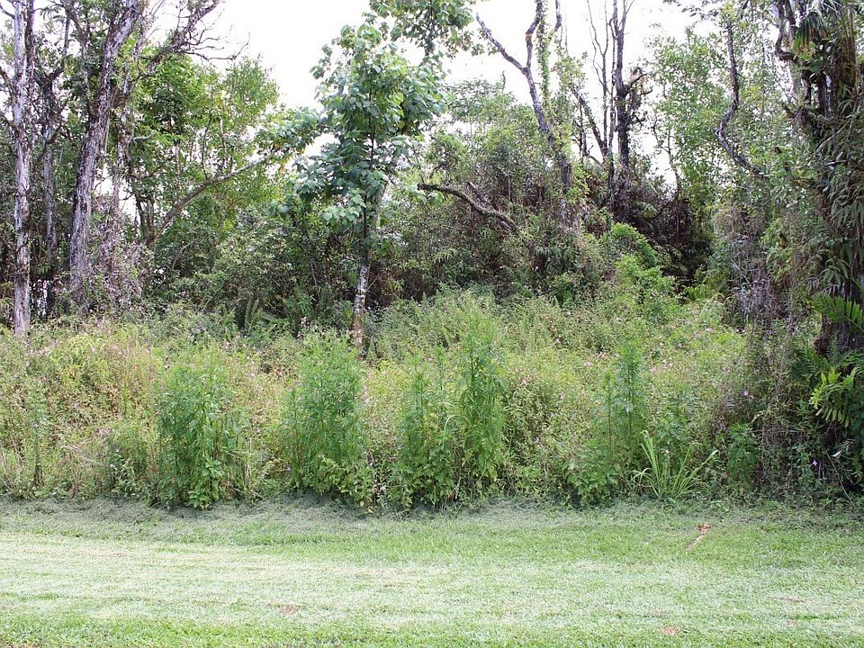 1st image of 15-2778 Au St Lot 209