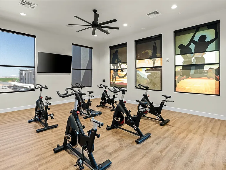Cycle Studio