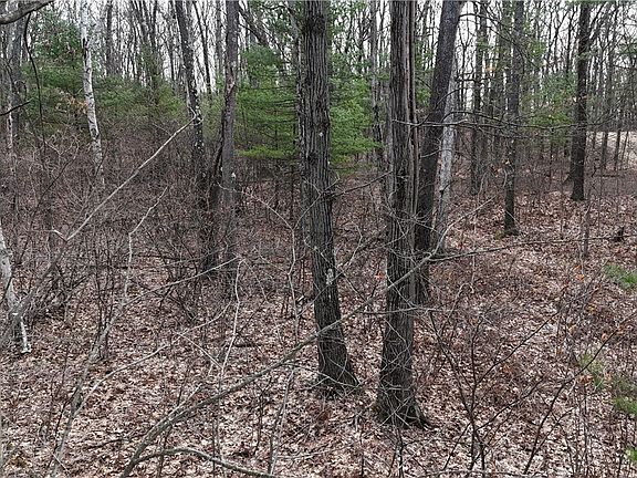 4th image of 0 Welch Rd